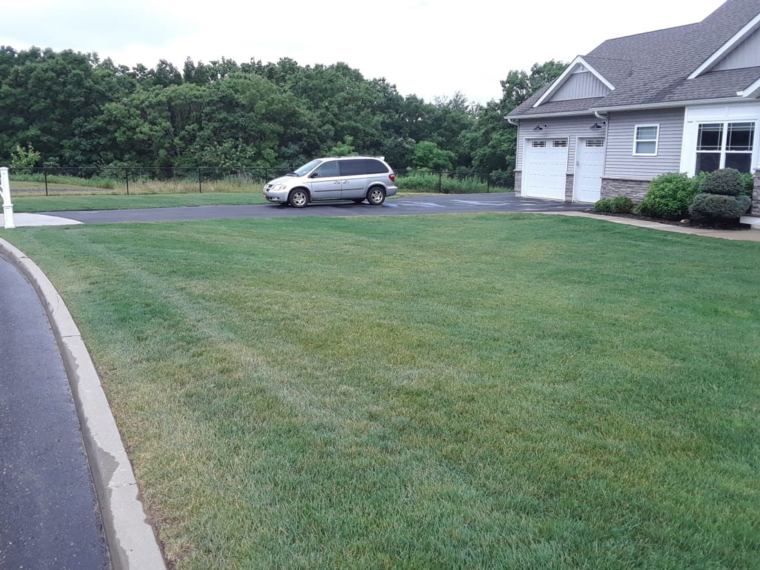 Landscaping